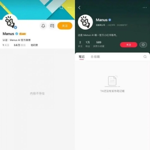 太突然！多平台账号清空！邀请码一度炒至数万元，爆火AI智能体，发生了什么？ ...