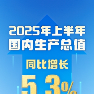 上半年国内生产总值660536亿元 同比增长5.3%