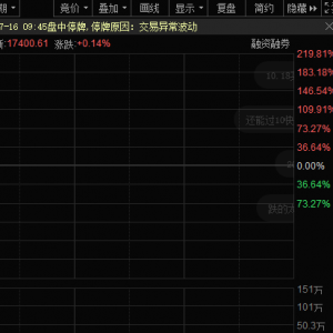 百万中签股民嗨了！千亿市值新股暴涨，破纪录