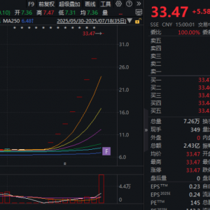A股第二只，连续8个“20cm”一字涨停！
