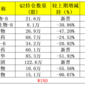 多只“翻倍基”披露二季报