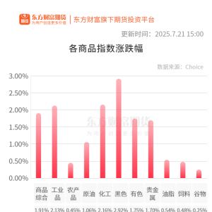 期市收评