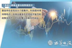 公募基金集中重仓行业龙头个股 对核心资产长期信心不变