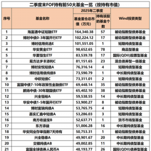 “专业买手”，最新重仓基金曝光！