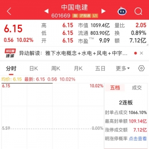 超1200万手封死涨停，雅江水电概念龙头出炉！送转潜力股揭秘，5股业绩有望翻倍增长 ...
