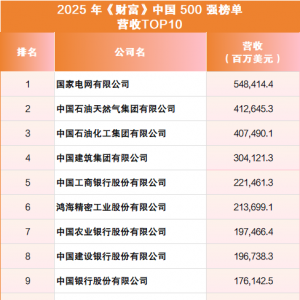 数读2025年《财富》中国500强 哪家公司最赚钱？