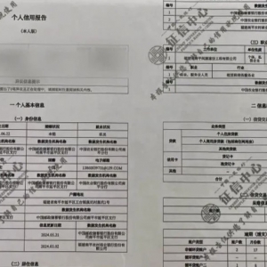 借钱不用还？53岁村民沦为职业背债人 面临48万元巨额债务