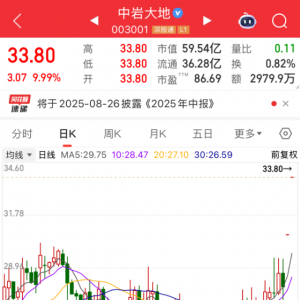 003001，两连板！海外机构关注多只绩优股