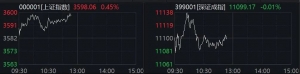 A股首家！688585，连续11个“20cm”涨停！