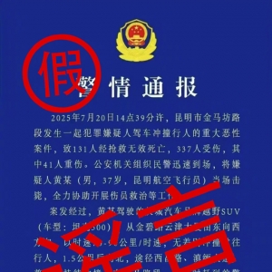 两男子伪造警情通报、造谣“昆明驾车撞人案131人死亡” ，刑拘！ ...