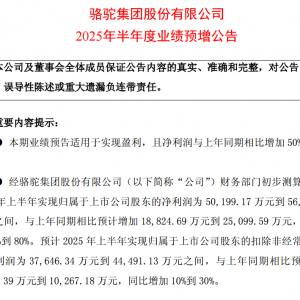 骆驼股份上半年汽车低压锂电池销量大幅提升 净利同比预增超60% ...