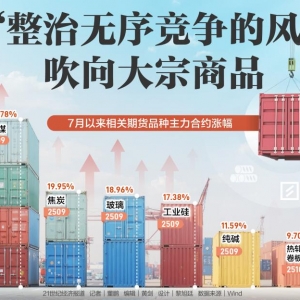 当“整治无序竞争的风”吹向大宗商品 多晶硅期货月内涨超50% ...