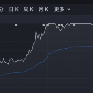 午后异动！罕见涨停！