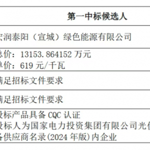 国家电投170MW光伏组件集采中标候选人公示