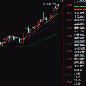 A股尾盘突发！芯片股异动拉升