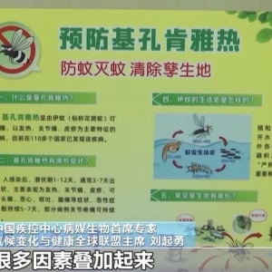 广东七天新增2940例 基孔肯雅热啥来头？紧急提醒：感染后不要用这种常见药！ ...