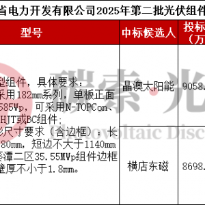 最低0.7元/W 广东省电力开发2025第二批光伏组件采购候选人公示 ...