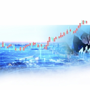 活跃行情下的基金投资众生相