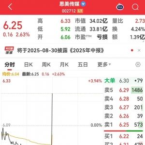 002712，突然拉升！半年报业绩亮点抢先看，这6股绩优+低PE+上涨空间大 ...