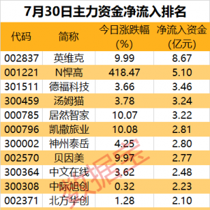 主力资金丨两大龙头“遇冷”，遭主力资金净流出均超12亿元
