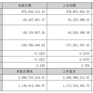 安纳达：上半年净利同比下降158.08% 钛白粉业务收入同比下降19.65% ...