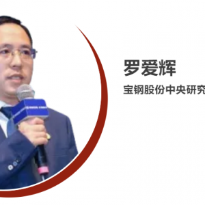 宝钢罗爱辉：变厚度板与一体化热成形 车身轻量化新解法