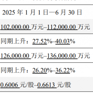 锡业股份：后续锡行业冶炼利润仍将承压上半年净利同比预增27.52%-40.03% ...