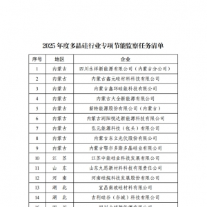 工信部办公厅印发2025年度多晶硅行业专项节能监察任务清单