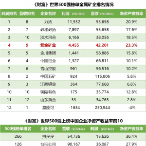 《财富》世界500强发布：紫金矿业净资产收益率居中国企业第4、全球金属矿企第1 ...