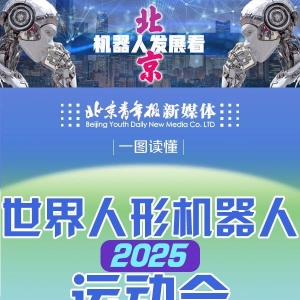 一图读懂2025世界人形机器人运动会赛程