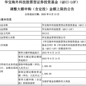 QDII基金限购不断加码，年内业绩表现亮眼