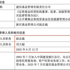 万亿老牌公募迎新一任副总裁