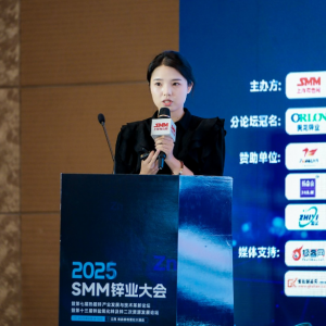 SMM：反内卷下 钢铁行业迎新机遇 中长期钢铁价格如何运行？【SMM锌业大会】 ...