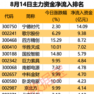 主力资金