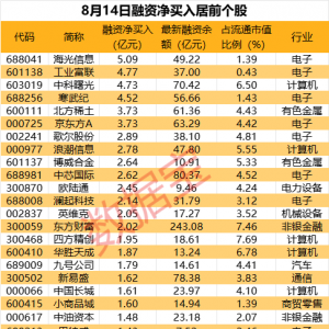 杠杆资金大比例控盘这些股