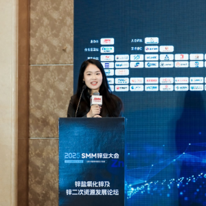 SMM：氧化锌原料格局发生转变 “出海”或成为“大势所趋”？【SMM锌业大会】 ...