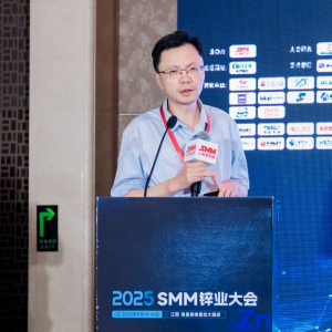 专家谈：有色冶炼高砷物料的脱除及安全固化技术研究【SMM锌业大会】 ...