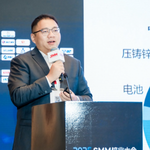 SMM：再生锌及其原料发展现状及展望 再生锌这四点需注意！【SMM锌业大会】 ...