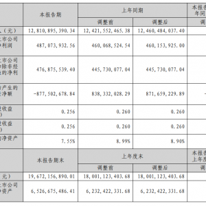 北方铜业：贵金属和硫酸毛利率同比增加 上半年净利同比增5.85% ...
