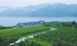 在“北国山城”品“东方波尔多”（边城见闻）