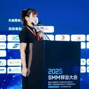 SMM：2025年锌市场现状及价格展望 年内锌过剩格局不变？【SMM锌业大会】 ...