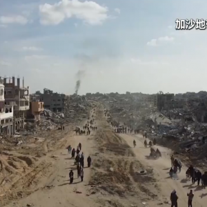 本轮巴以冲突已致加沙地带62004人死亡