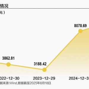 南向资金年内狂扫近万亿港元创纪录，神秘扫货清单曝光