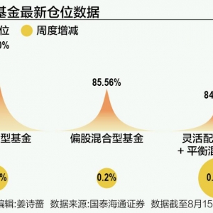次新基金布局路径曝光