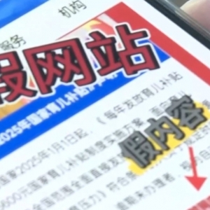 新型“育儿补贴”诈骗现身，如何防范这类骗局？