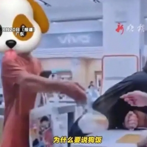 女子称点“拼好饭”被当面说“狗饭” 骑手：“我们叫惯了”“有病就别吃” ...