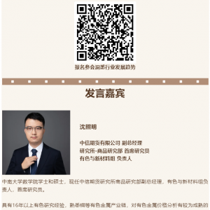美国对等关税下的中国铅锌市场