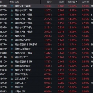 芯片股狂欢！超20只ETF单日涨超10%，最高大涨近16%