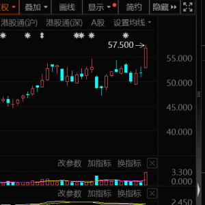 大幅加仓，连续14周净买入！资金涌向这些股，芯片龙头成交居首 ...