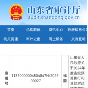 山东505名死亡人员被发养老金引热议，审计报告披露背后问题 ...